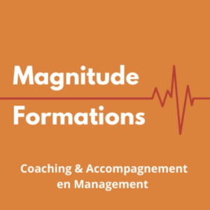 Logo Magnitude formations