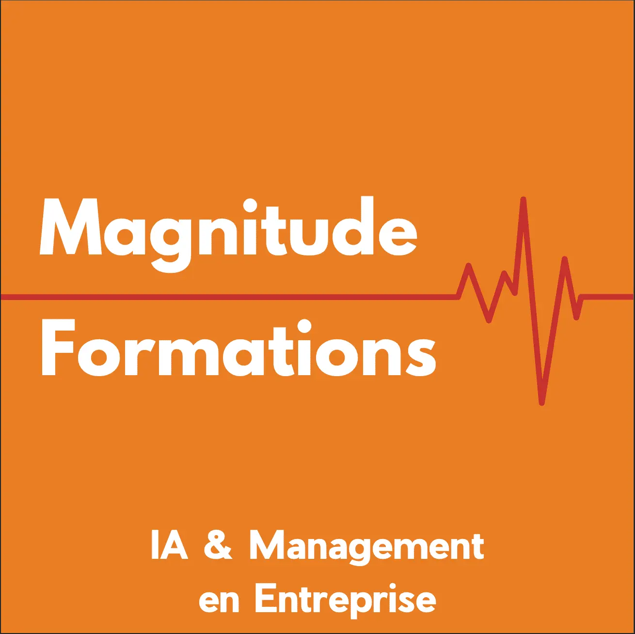 Logo Magnitude-formations