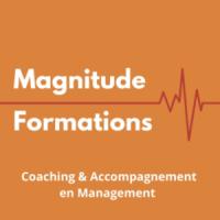 Logo Magnitude formations
